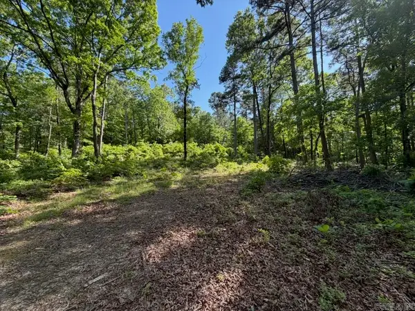 00 Earnie Woods Road, Rose Bud, AR 72137