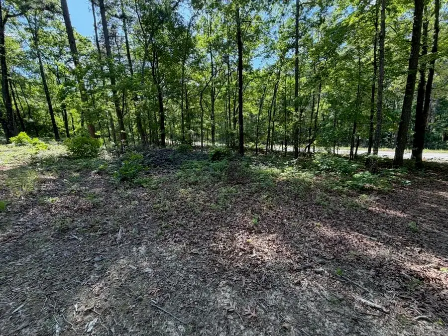 00 Earnie Woods Road, Rose Bud, AR 72137 - #2