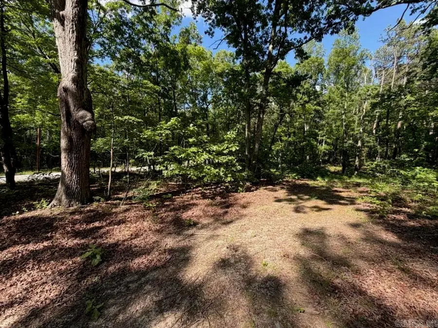 00 Earnie Woods Road, Rose Bud, AR 72137 - #3