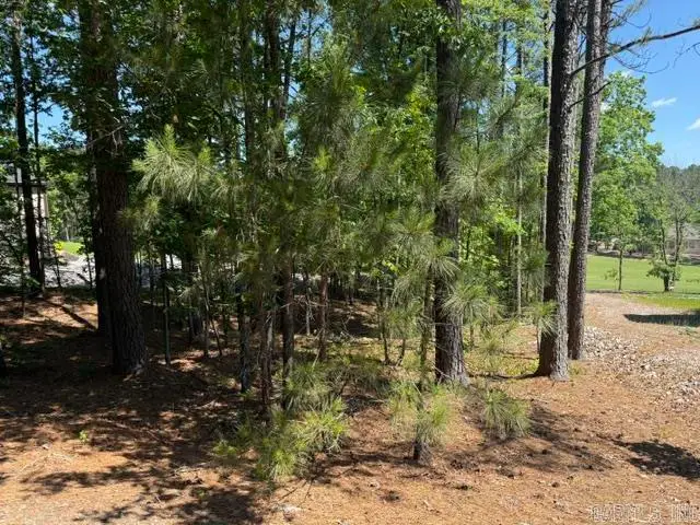 8 Piocha Drive, Hot Springs Village, AR 71909 - #1
