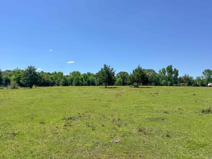 82 Herring Road, Quitman, AR 72131 - #3