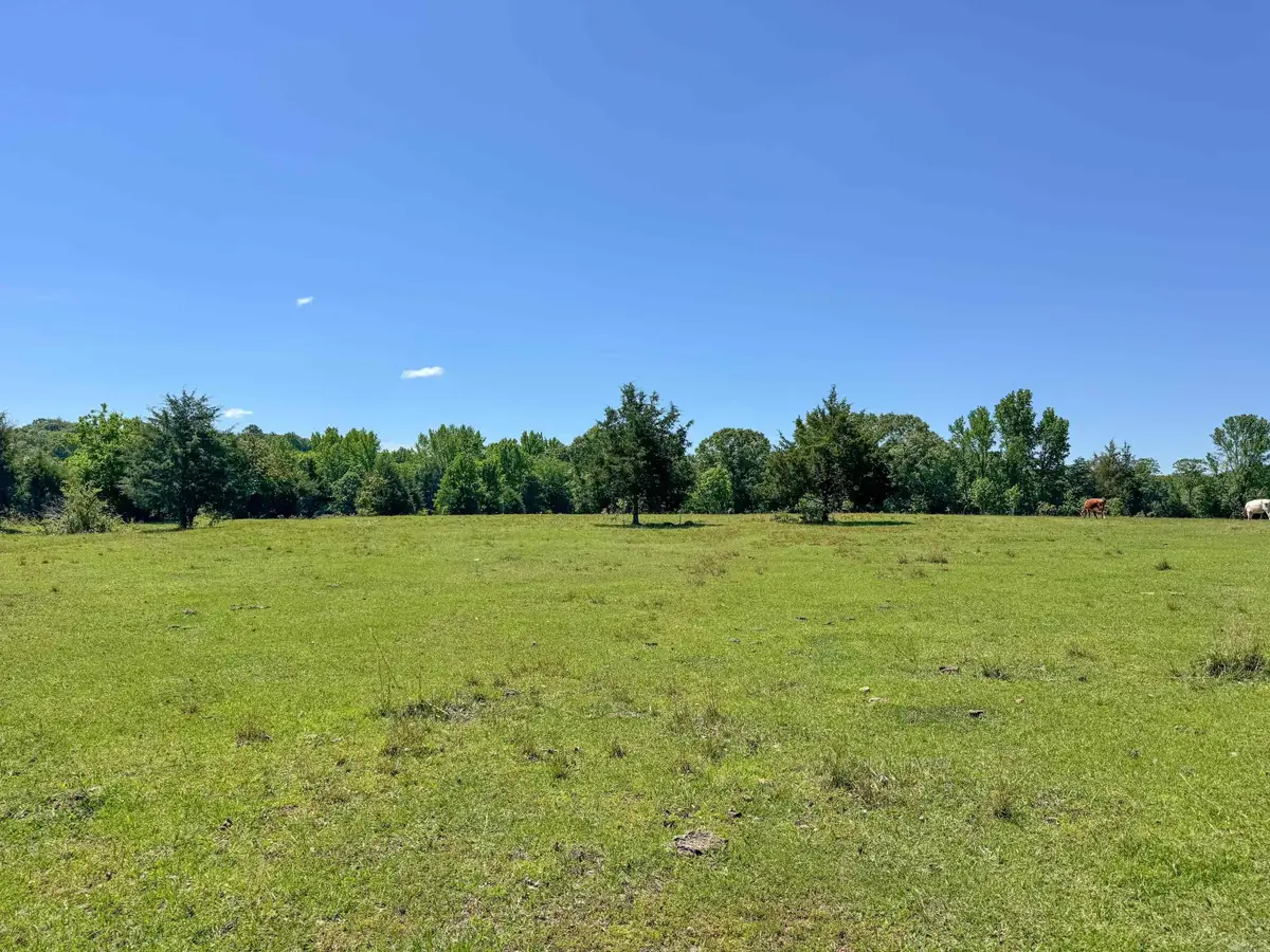 84 Herring Road, Quitman, AR 72131 - #1