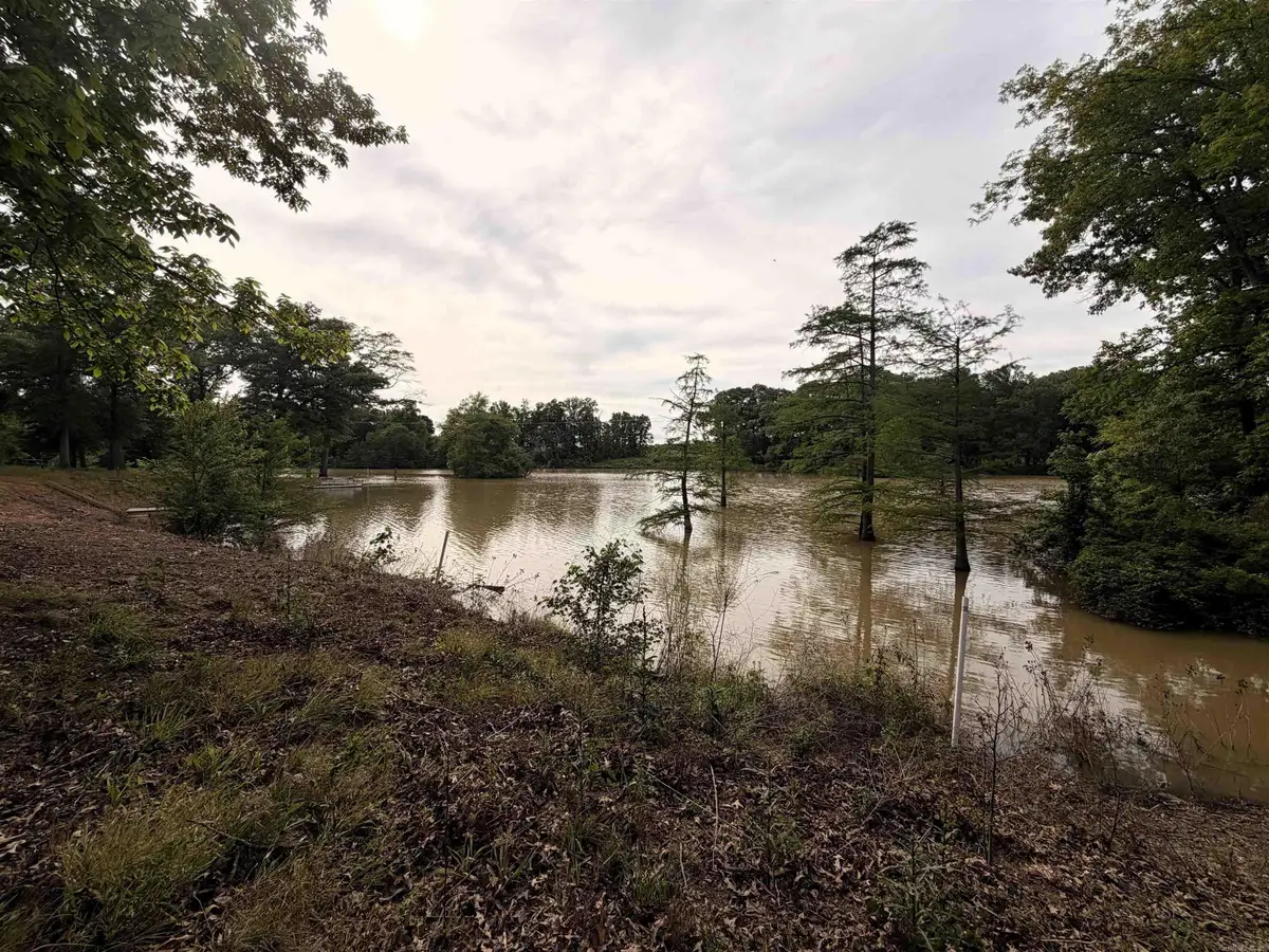 12798 Griffin Road, Des Arc, AR 72040 - #1
