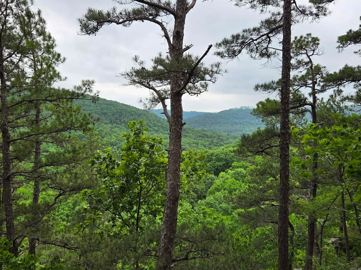 0 Angora Mountain Road, Leslie, AR 72645 - #1