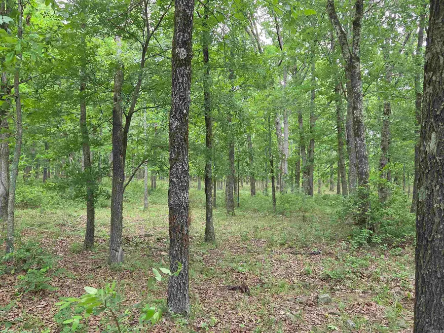 0 Angora Mountain Road, Leslie, AR 72645 - #2