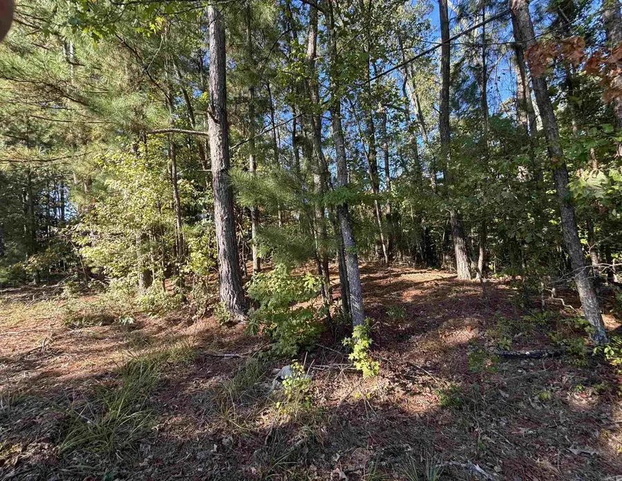 0 Freda Lane (south Lot), Sheridan, AR 72150 - #3