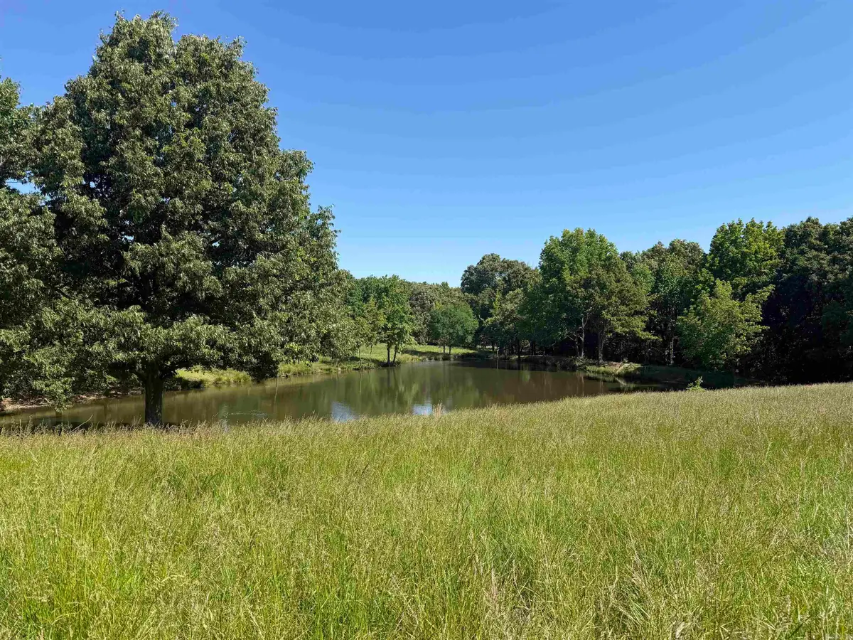 Clay 450 Road, North Saint Francis, AR 71454 - #1