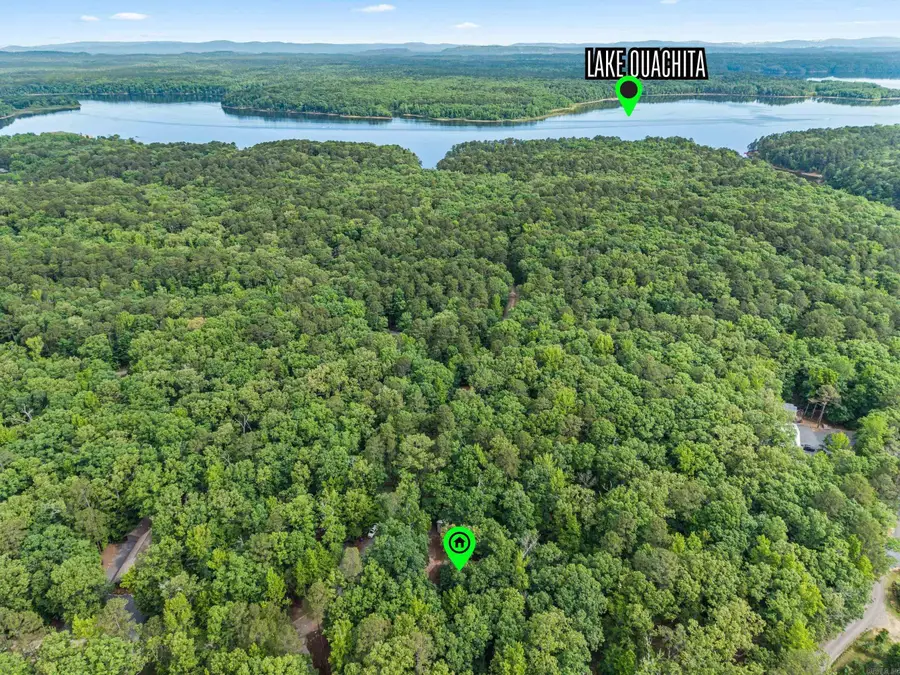 61 Muscadine Lane, Mount Ida, AR 71957 - #2