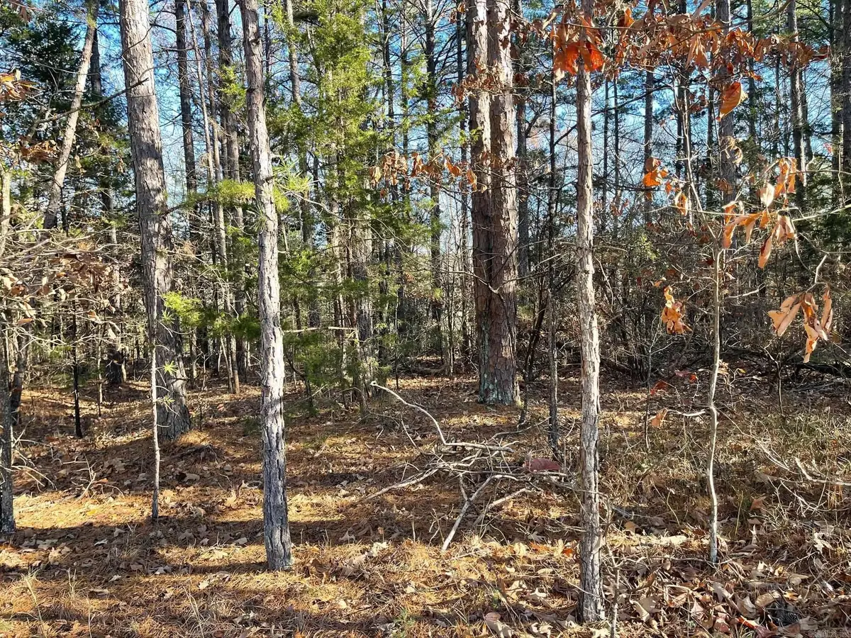 000 The Greens Drive, Fairfield Bay, AR 72088 - #1