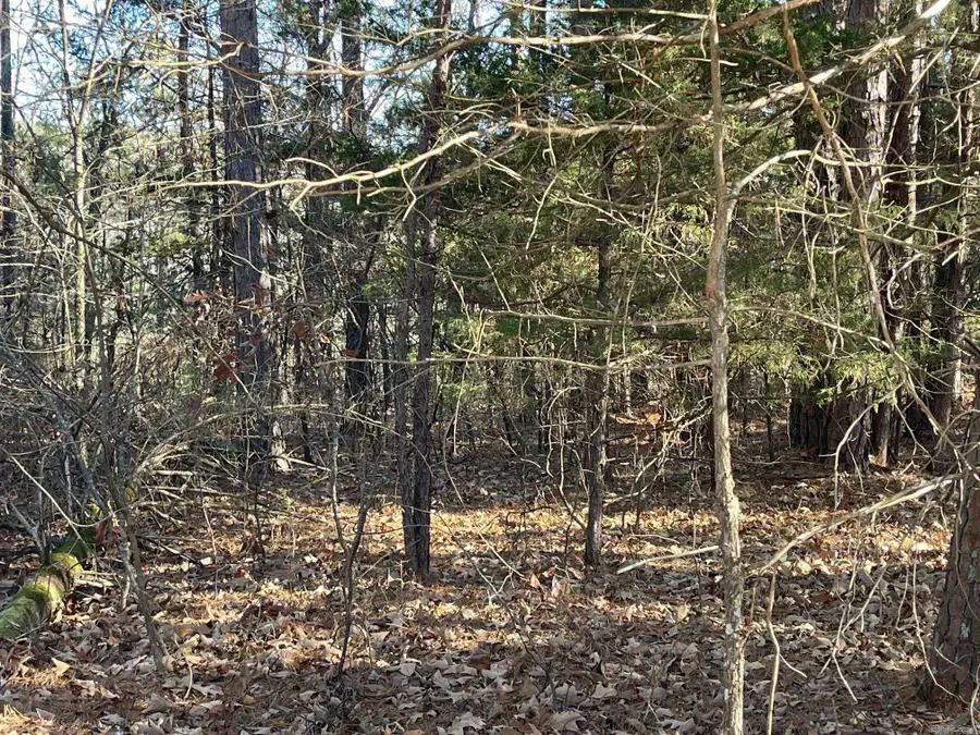 000 The Greens Drive, Fairfield Bay, AR 72088 - #2