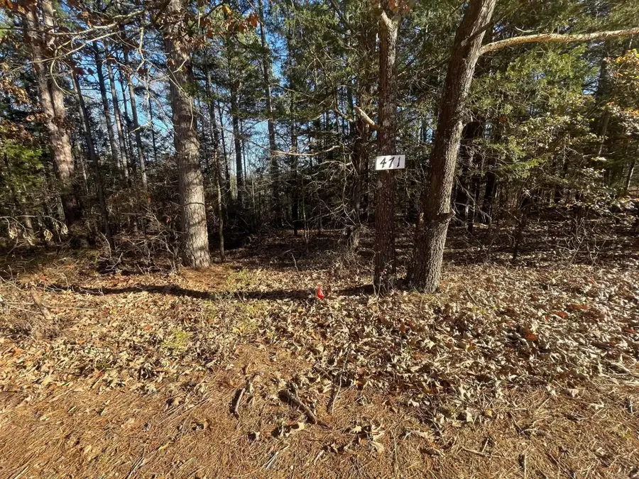 000 The Greens Drive, Fairfield Bay, AR 72088 - #3