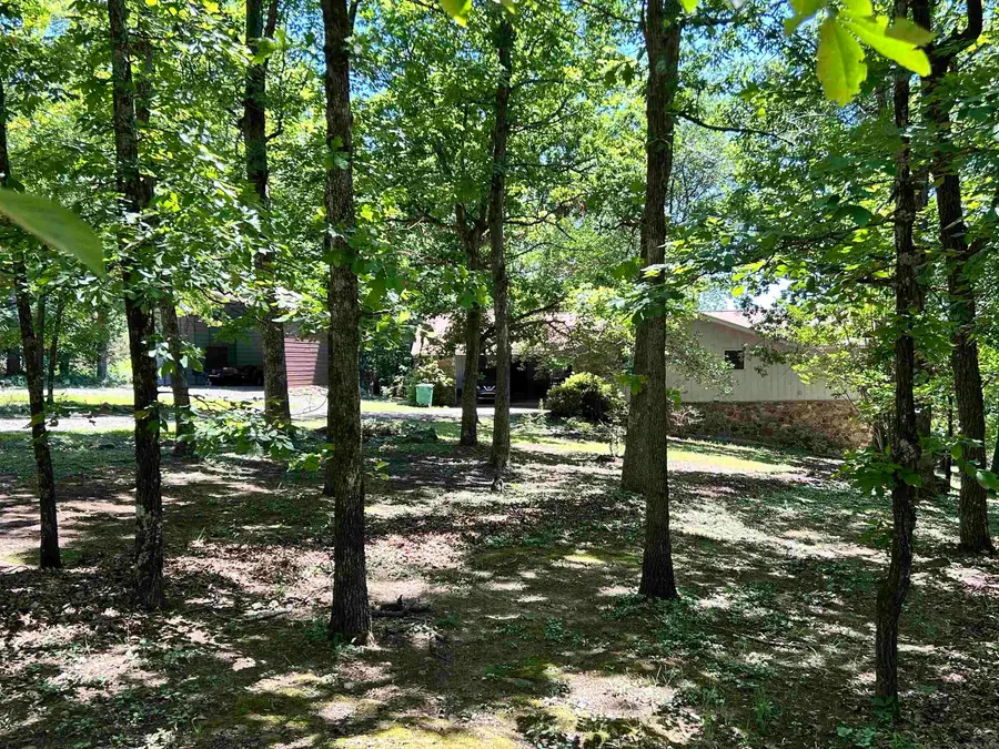 44 Tracy Ann Terrace, Shirley, AR 72153 - #3