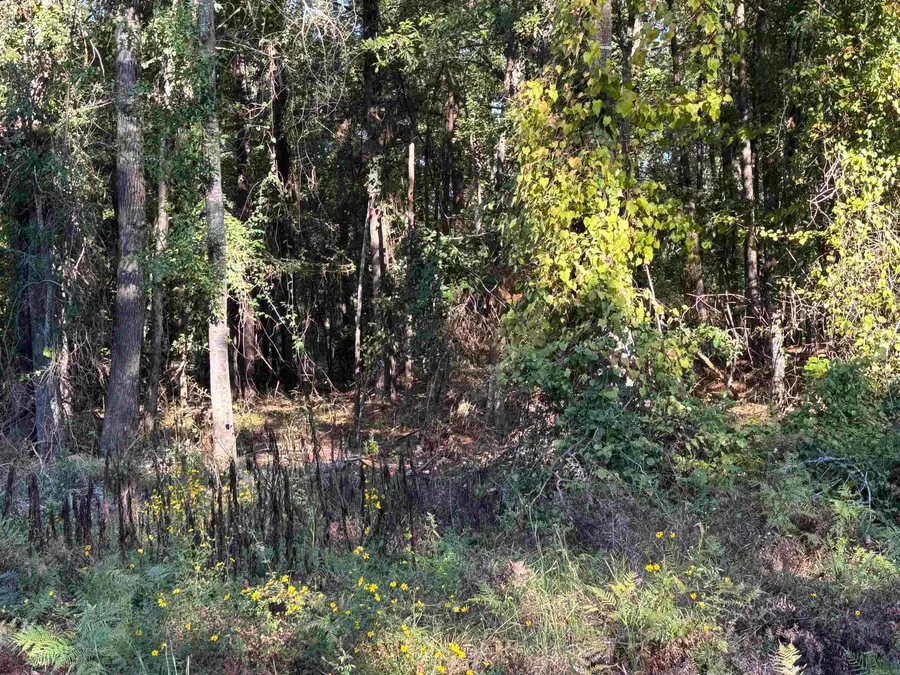 0 Gary Lane, Sheridan, AR 72150 - #3