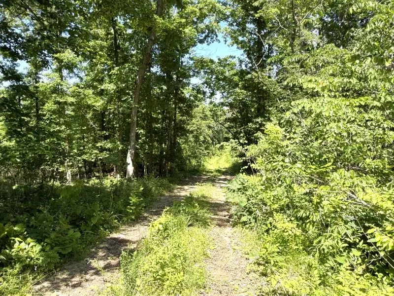 00 Old Union Road, Imboden, AR 72434 - #2