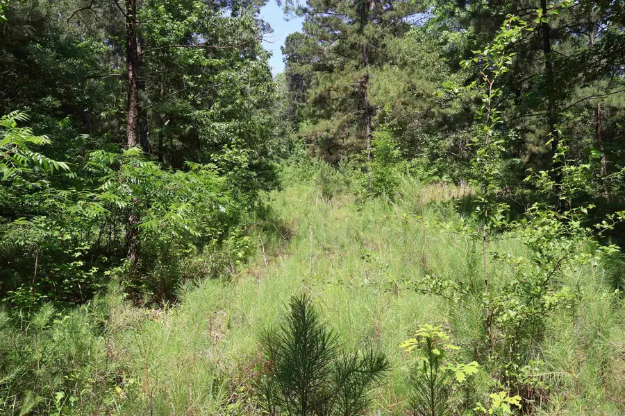 TBD Heather Ridge, Texarkana, AR 71854 - #3