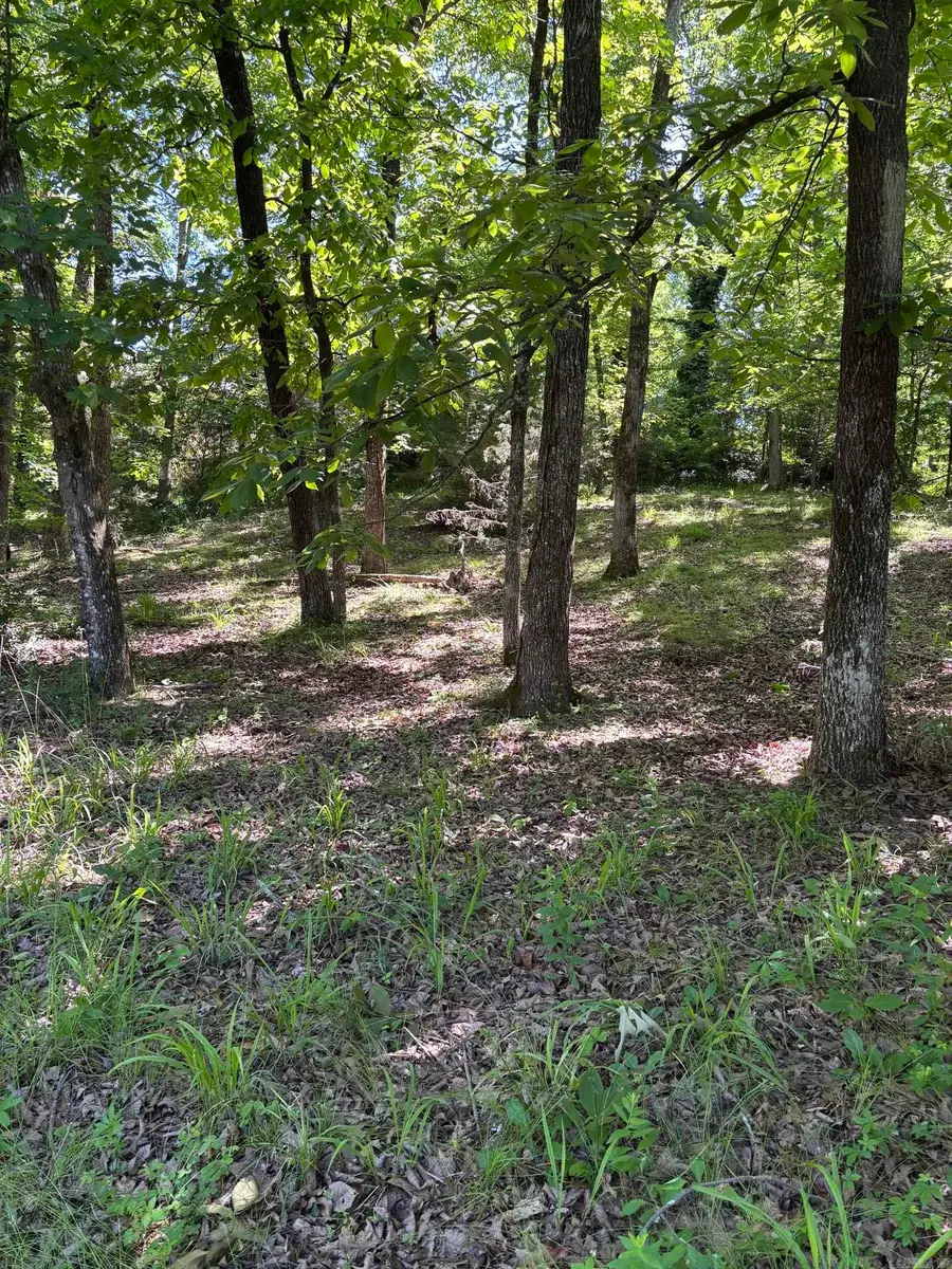 TBD N Crystal Springs Road, Royal, AR 71968 - #3