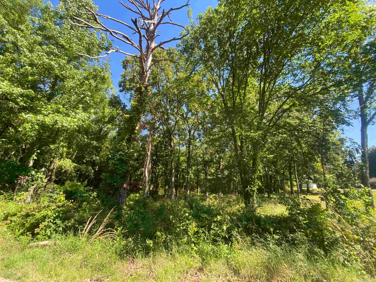 TBD Housing Authority Drive, Mount Ida, AR 71957 - #1