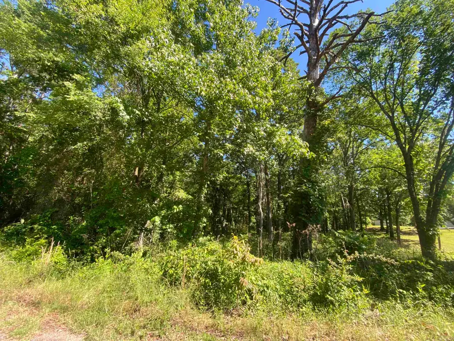 TBD Housing Authority Drive, Mount Ida, AR 71957 - #2