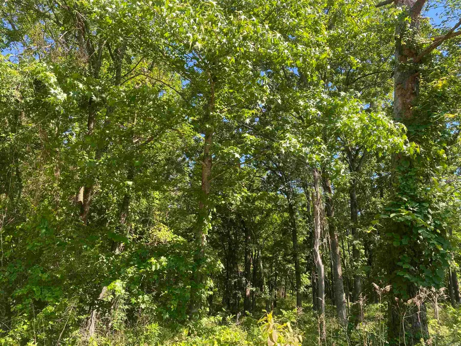 TBD Housing Authority Drive, Mount Ida, AR 71957 - #3