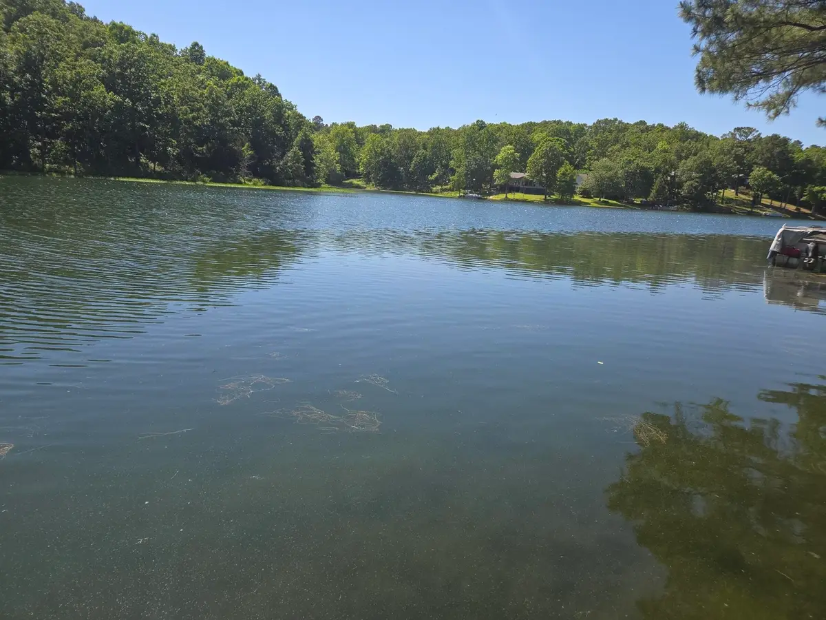 42 Enid Drive, Cherokee Village, AR 72529 - #1