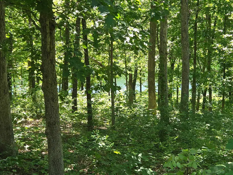 42 Enid Drive, Cherokee Village, AR 72529 - #3