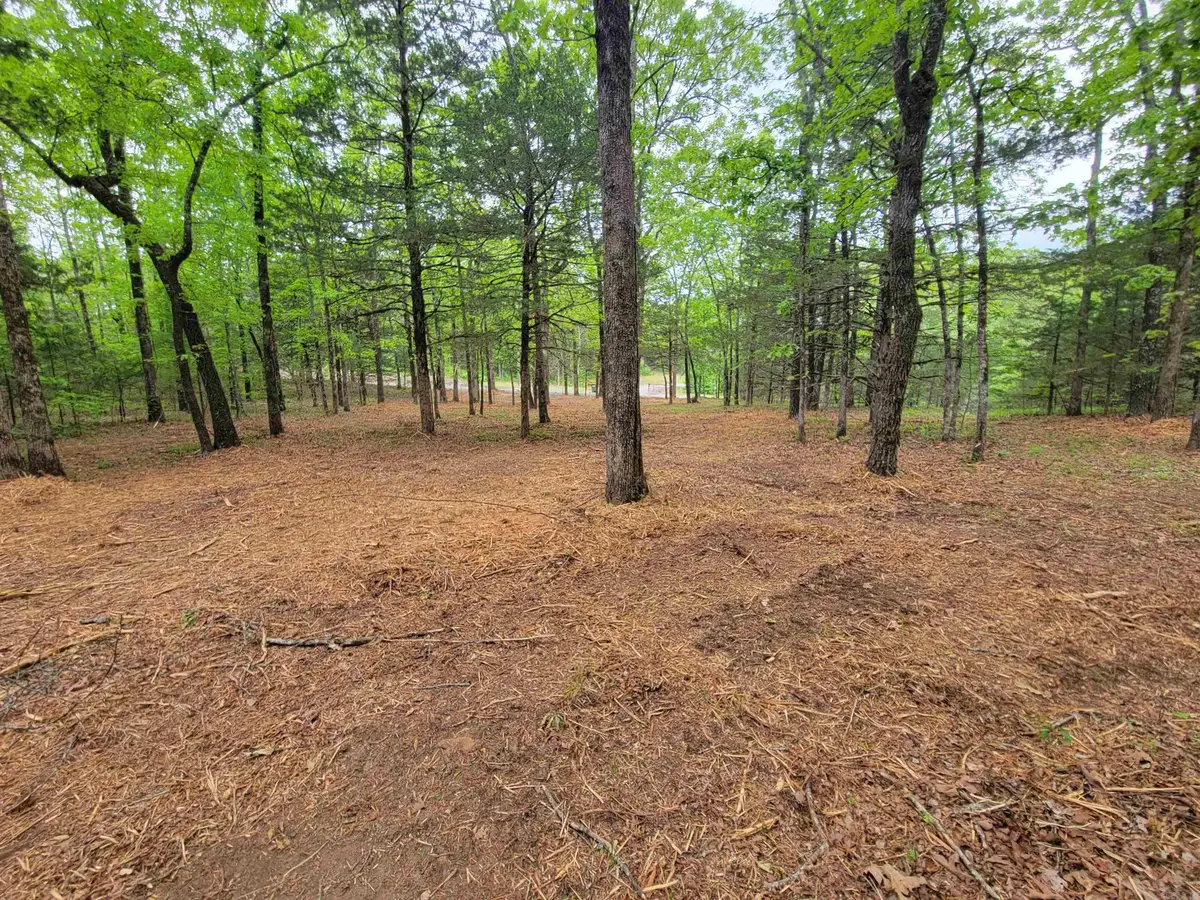 00 Mcnew Cemetery Road, Greenbrier, AR 72058 - #1