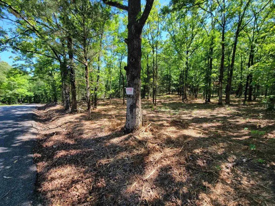 00 Mcnew Cemetery Road, Greenbrier, AR 72058 - #3