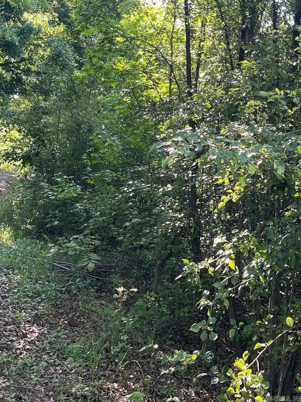Address Withheld By Seller, Ward, AR 72176