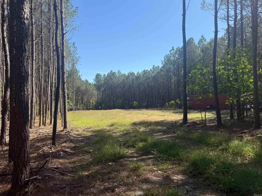 571 Stihl, Hot Springs, AR 71901 - #3
