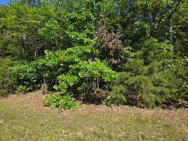 L-52 Barnes Road, Evening Shade, AR 72532