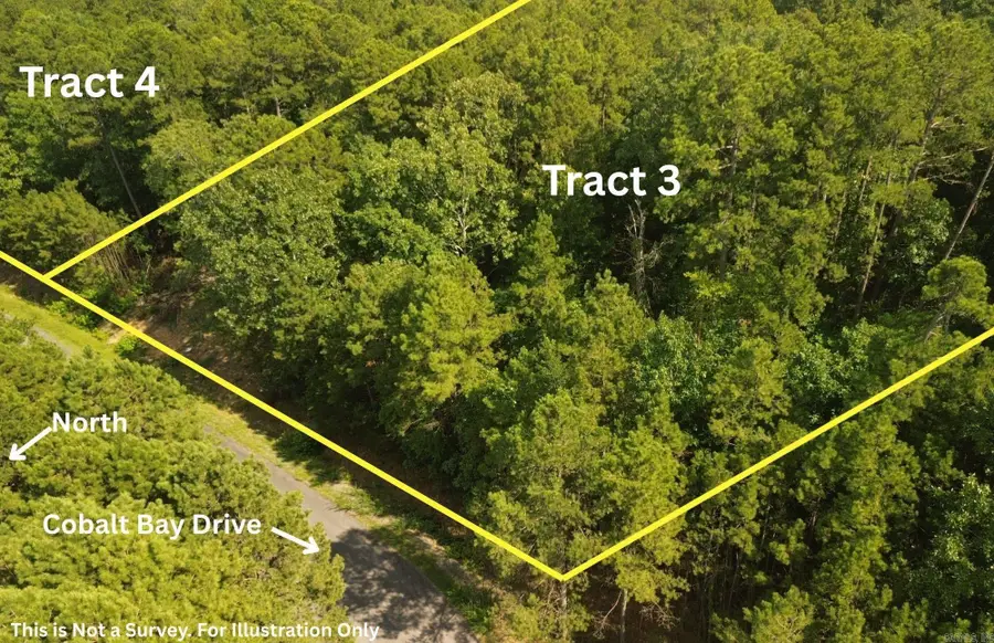Tracts 3 & 4 Cobalt Bay Drive, Shirley, AR 72153 - #3