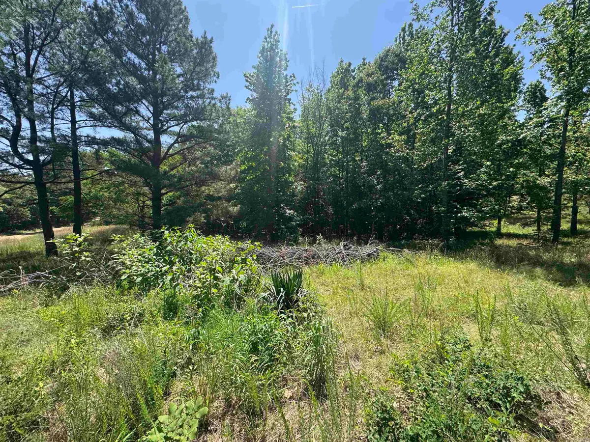 1096 Cr 472, Piggott, AR 72454 - #1