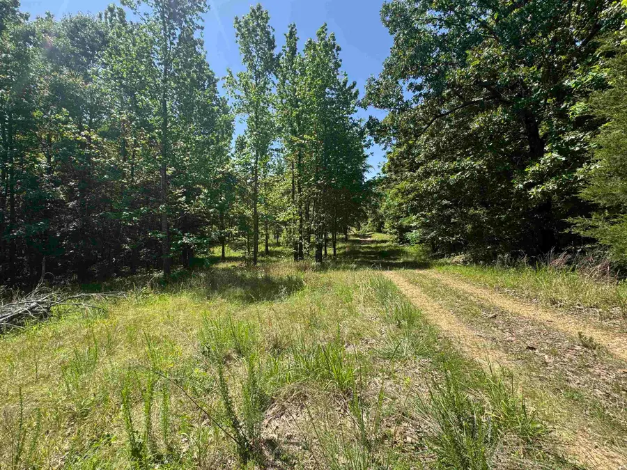 1096 Cr 472, Piggott, AR 72454 - #2