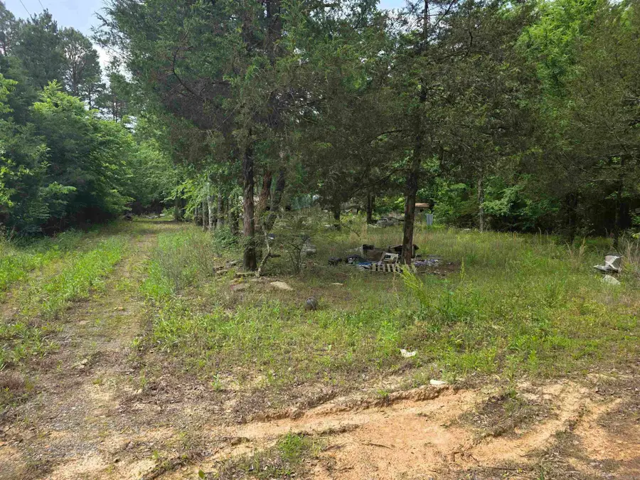 4296 Wilburn Road, Heber Springs, AR 72543 - #3