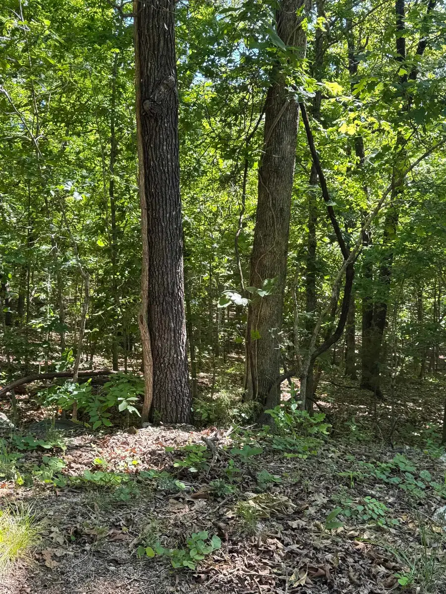 TBD Spokane Drive, Cherokee Village, AR 72529 - #3