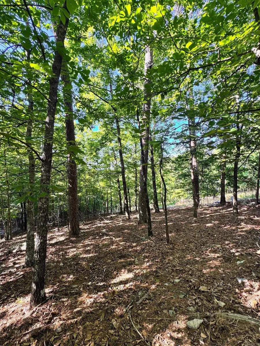 96 Mesero Way, Hot Springs Village, AR 71909 - #2