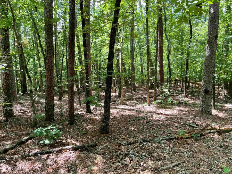 3 Magnifico Circle, Hot Springs Village, AR 71909 - #3