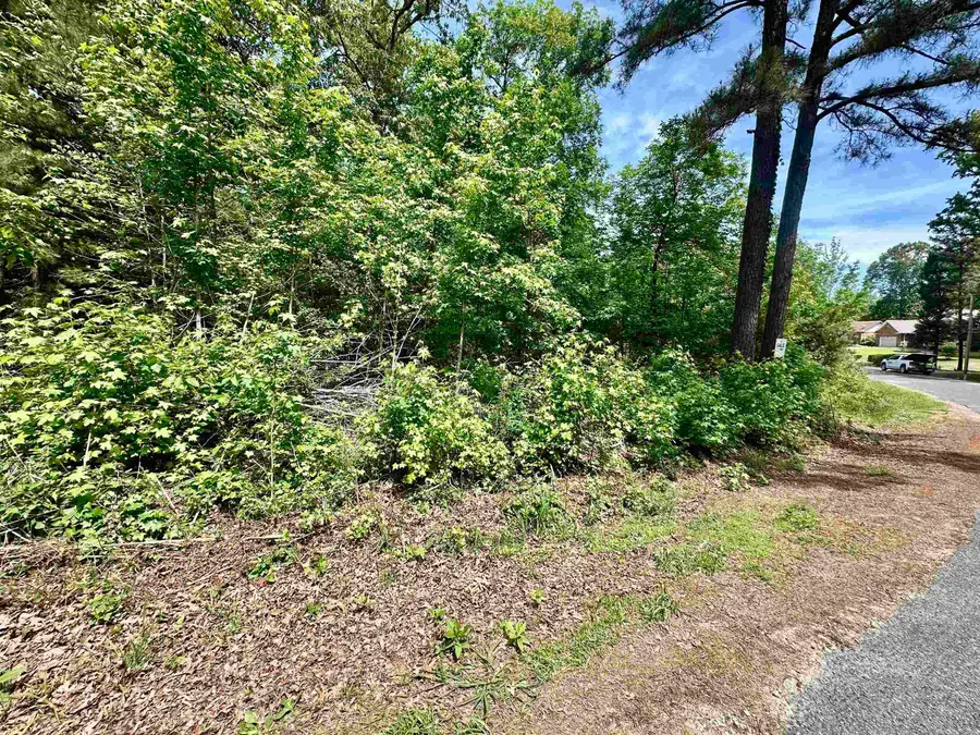 244 & 246 Scenic Drive, Hot Springs National Park, AR 71913 - #2