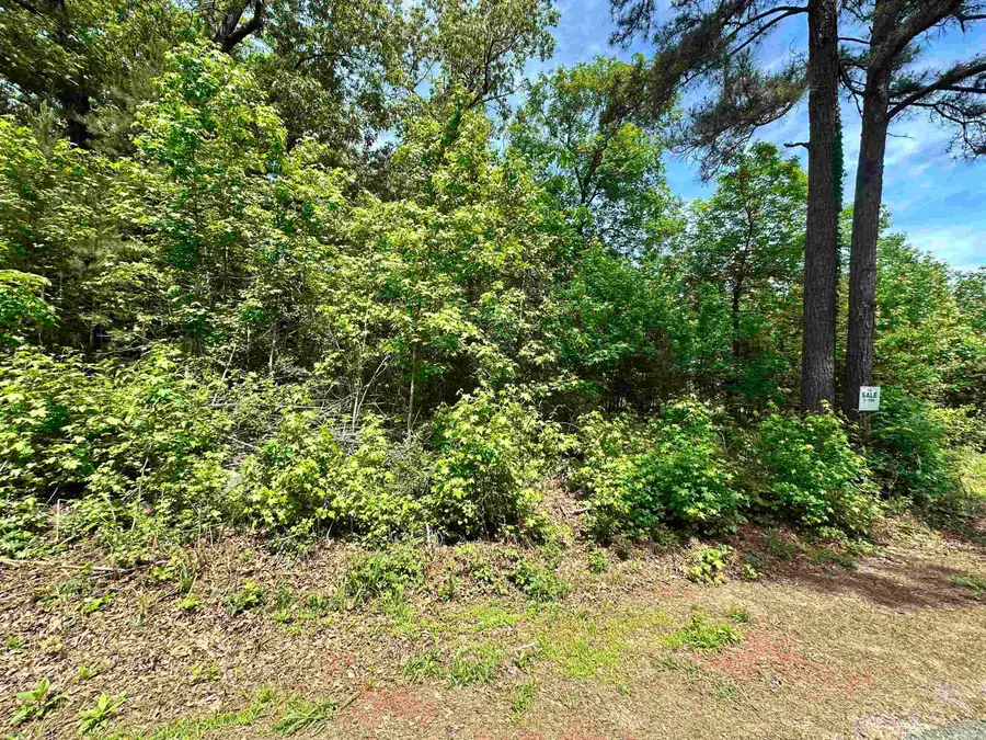 244 Scenic Drive, Hot Springs National Park, AR 71913 - #3