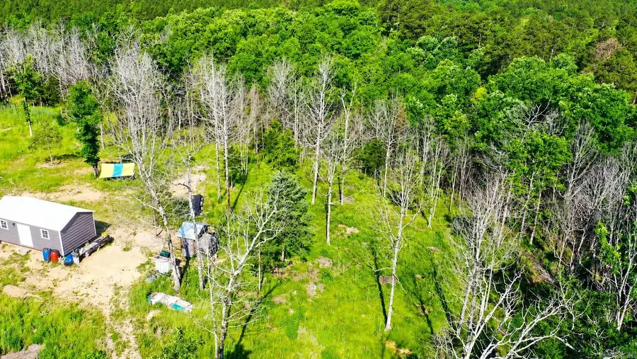 2193 Gaston Road, Norman, AR 71960 - #2