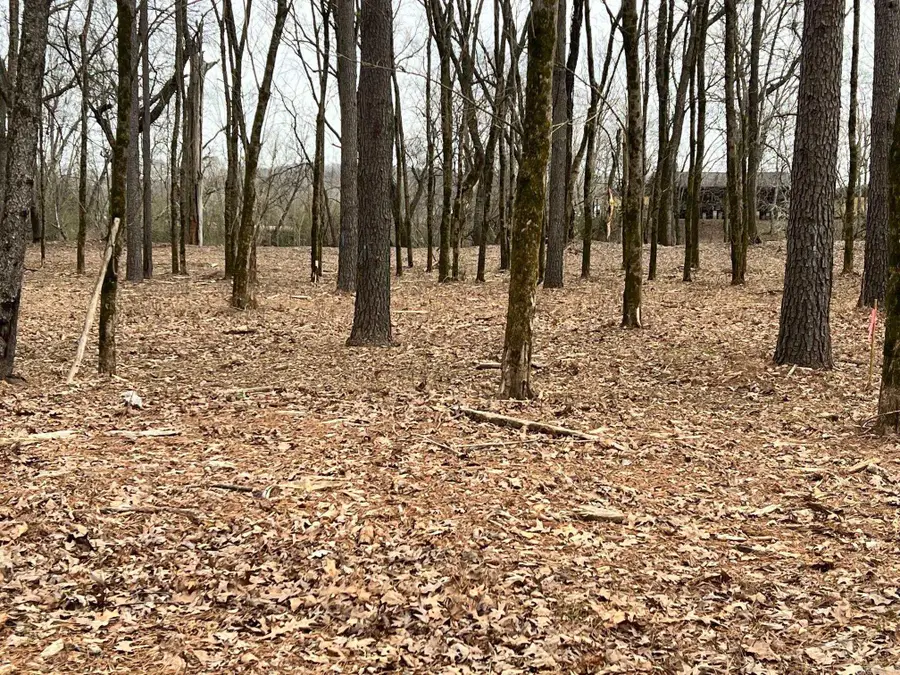 0 Sunshine (lot 3r) Lane, Pangburn, AR 72121 - #3