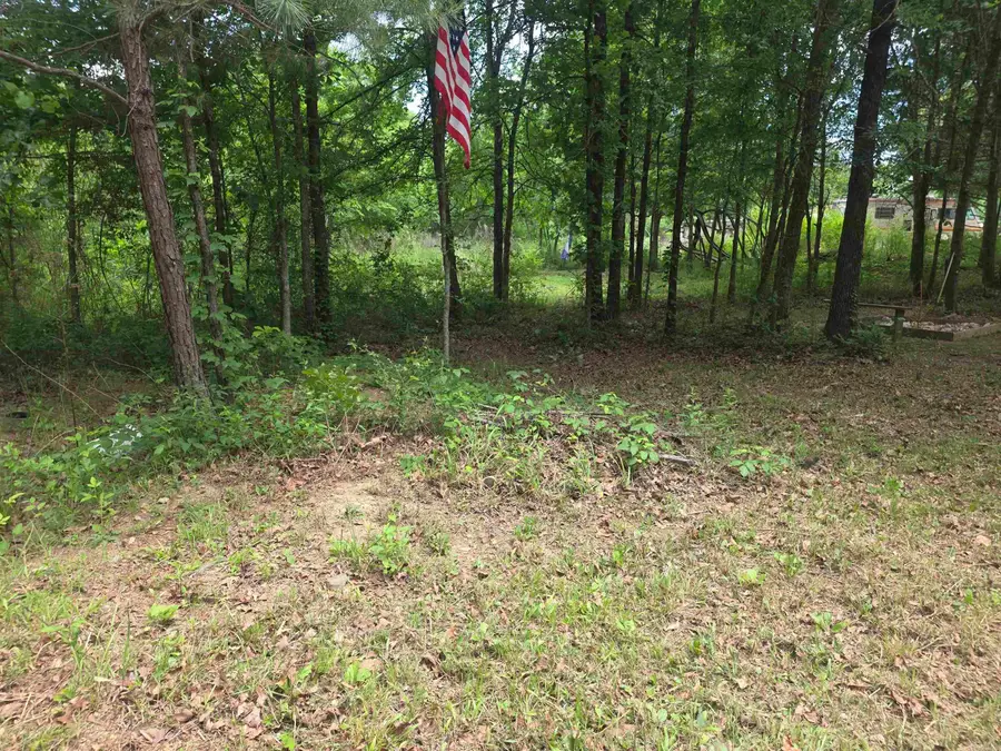 TBD Polk Rd 76 E, Mena, AR 71953 - #2