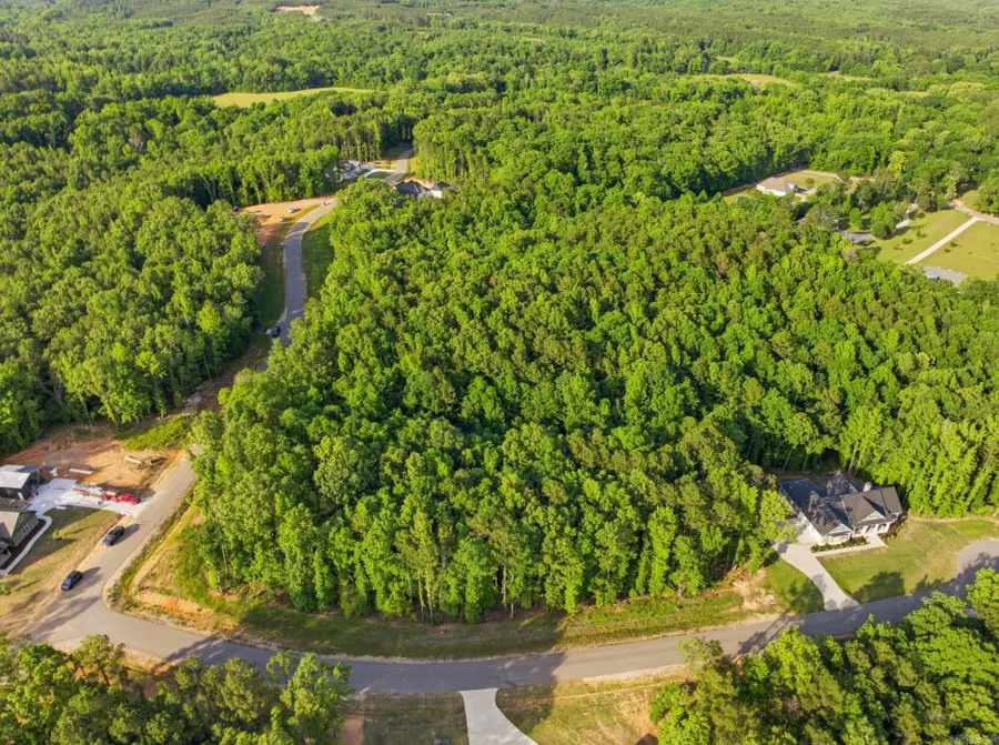 Lot 21, Benton, AR 72019 - #2