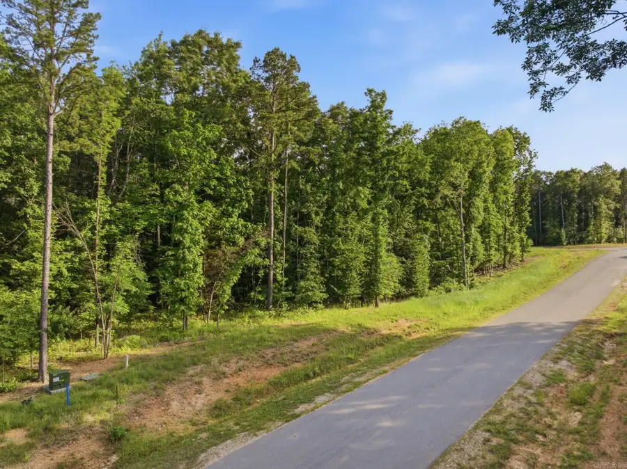 Lot 21, Benton, AR 72019 - #3