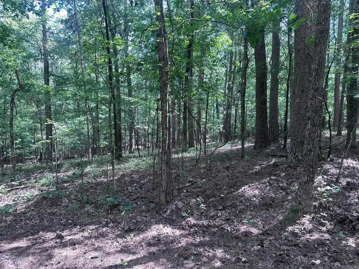 7 Novato Ln, Hot Springs Village, AR 71909 - #1