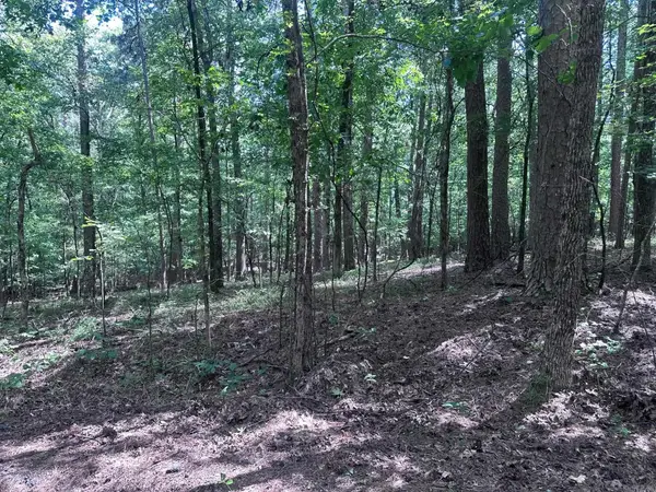 7 Novato Ln, Hot Springs Village, AR 71909