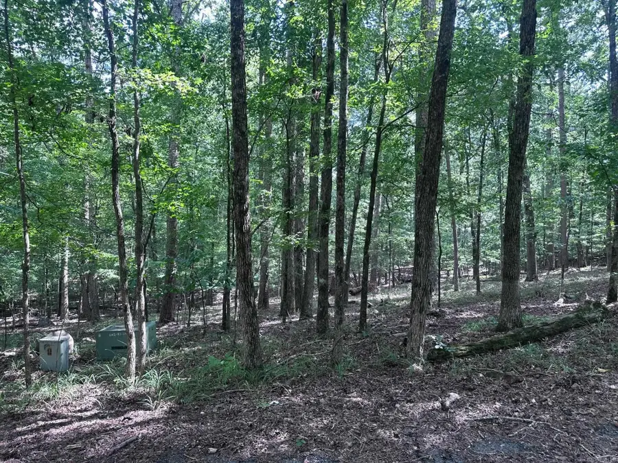 7 Novato Ln, Hot Springs Village, AR 71909 - #3