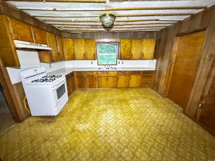 834 Old Dove Road, Mountain Pine, AR 71956 - #3