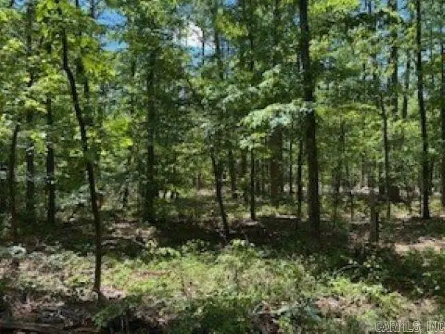 Cartaya Lane, Hot Springs Village, AR 71909 - #2