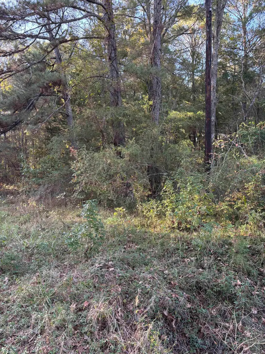TBD Beavert Lane, Murfreesboro, AR 71958 - #3